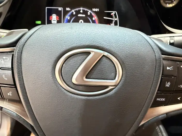 Lexus ES 2022 Model 300h Premium – фото 10