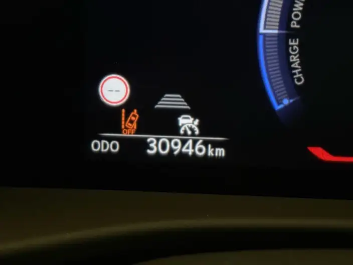 Lexus RZ 2023 Model 450e DIRECT4 Indulgent Edition – фото 9