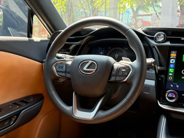 Lexus RZ 2023 Model 450e DIRECT4 Indulgent Edition – фото 10