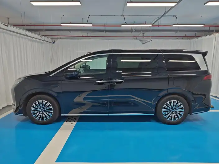 Xia 2026 Model DM-i 218KM Excellence Model – фото 4
