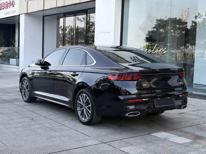 Geely StarRui 2020 Model 2.0T Luxury Model – фото 4