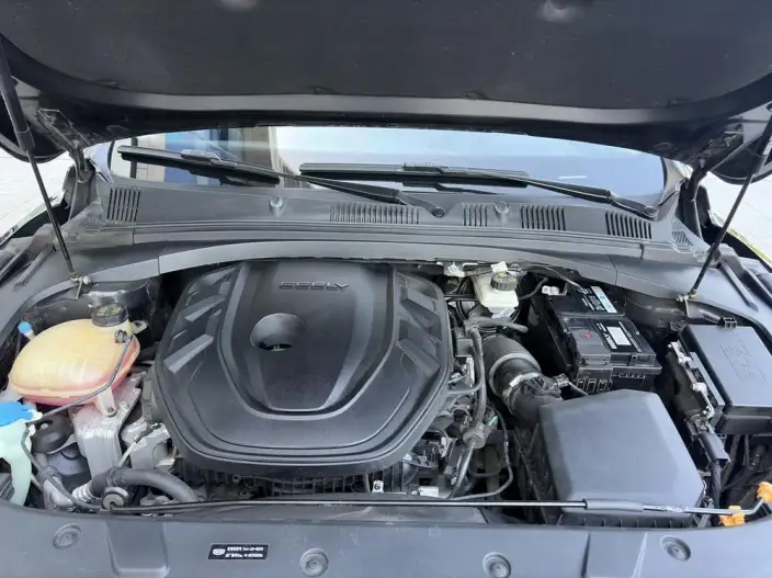 Geely StarRui 2020 Model 2.0T Luxury Model – фото 7