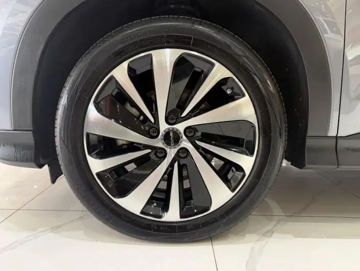BYD Song PLUS DM 2023 Model DM-i Champion Edition 110KM Flagship Model – фото 7