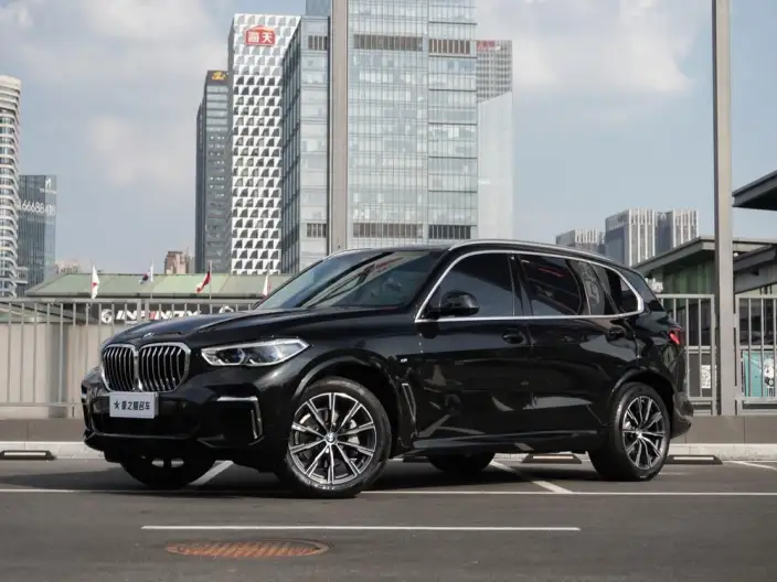BMW X5 2022 Model Facelift xDrive 30Li Exclusive Model M Sports Set – фото 1