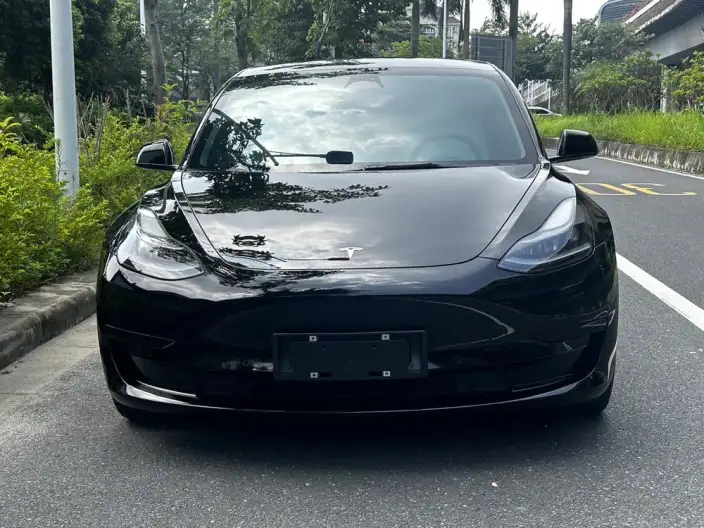 Model 3 2022 Model Rear-wheel drive version – фото 2