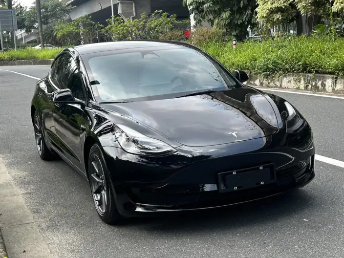 Model 3 2022 Model Rear-wheel drive version – фото 3
