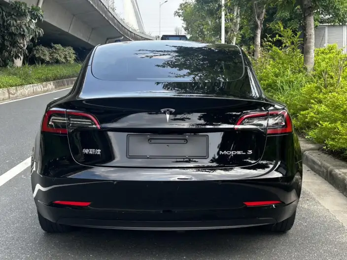 Model 3 2022 Model Rear-wheel drive version – фото 6