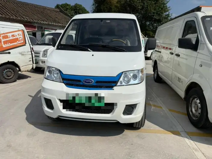 Youyou EV 2021 Model Comfort Model SQR5037 – фото 2