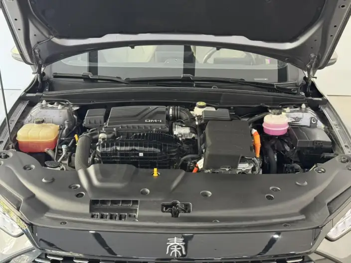 BYD Qin PLUS DM 2024 Model Honor Edition DM-i 55KM Leading Model – фото 7