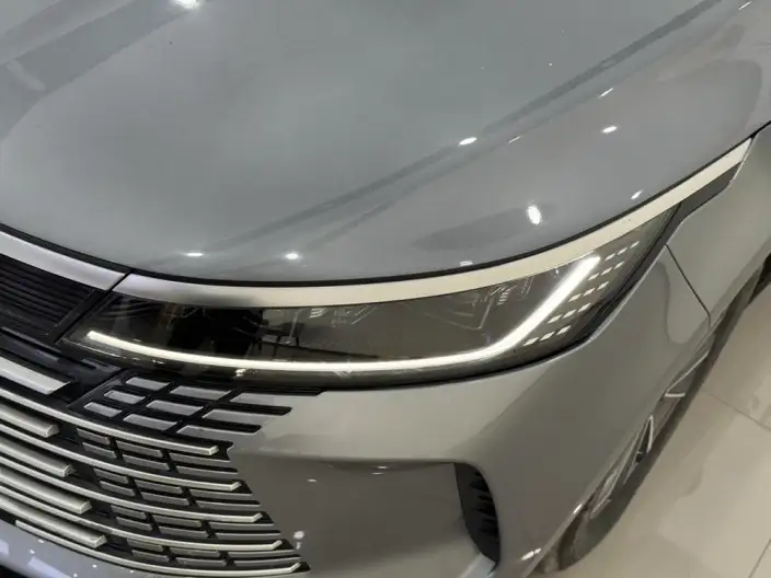 BYD Destroyer 05 2024 Model Honor Edition DM-i 55KM Luxury Model – фото 7