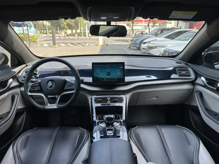Qin Plus EV 2021 Model 500KM Luxury Model – фото 7
