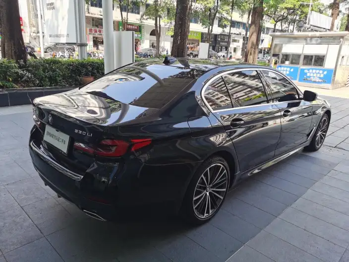 BMW 5 Series 2023 Model Facelift 530Li Leading Model M Sports Set – фото 5