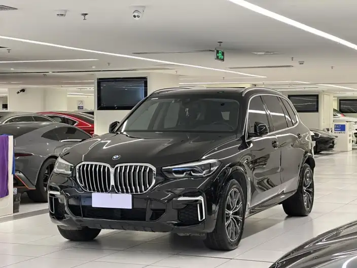 BMW X5 2022 Model xDrive 30Li M Sports Set – фото 1