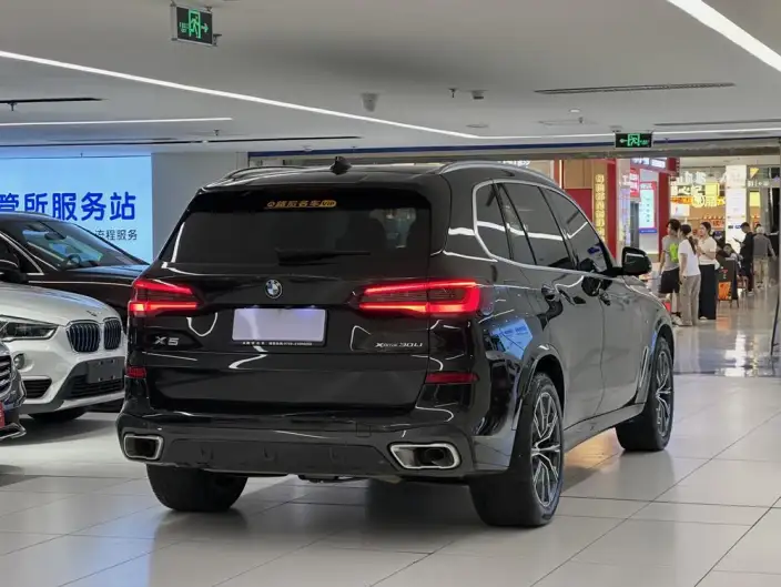 BMW X5 2022 Model xDrive 30Li M Sports Set – фото 4
