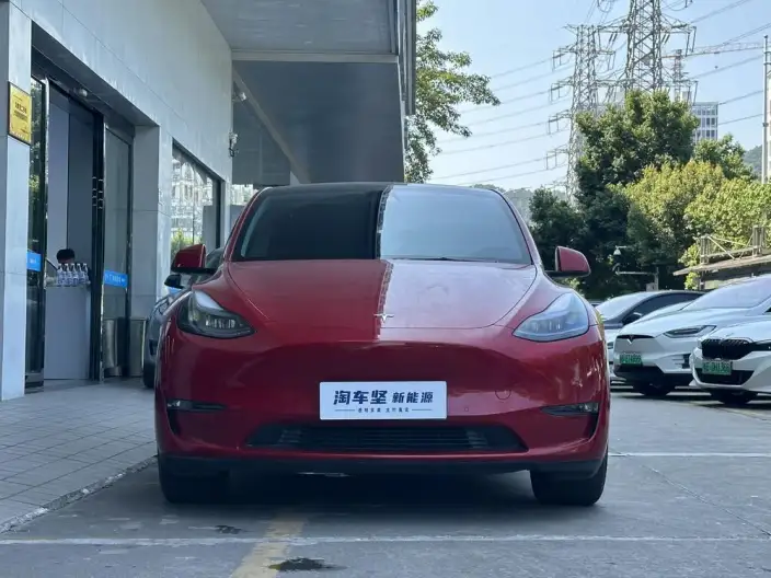 Model Y 2022 Model Facelift Long Battery Life Pro All-wheel drive version – фото 2