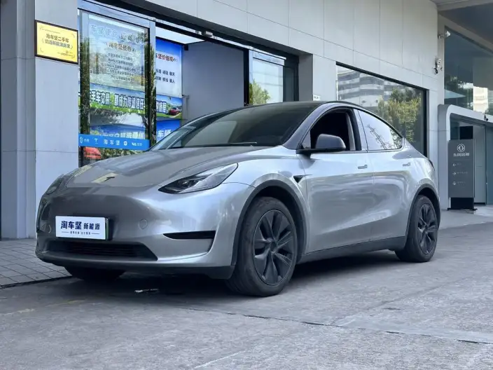 Model Y 2024 Model Rear-wheel drive version – фото 1