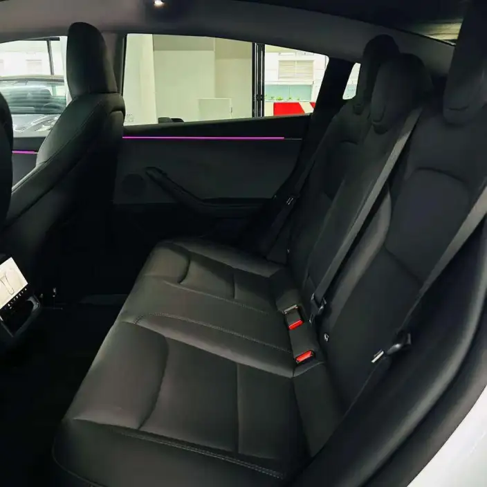 Model 3 2025 Model Long Battery Life Pro Rear-wheel drive version – фото 10