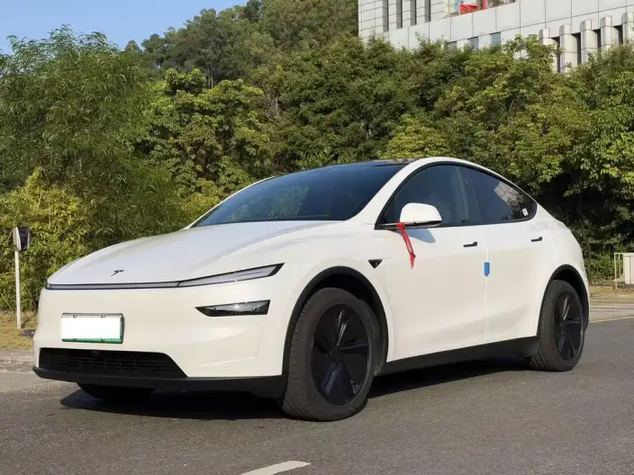 Model Y 2026 Model Long Battery Life Pro Rear-wheel drive version – фото 1
