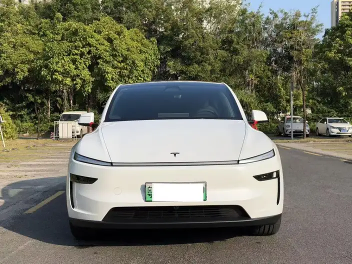 Model Y 2026 Model Long Battery Life Pro Rear-wheel drive version – фото 2
