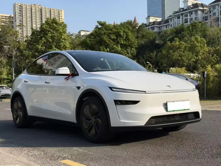 Model Y 2026 Model Long Battery Life Pro Rear-wheel drive version – фото 3