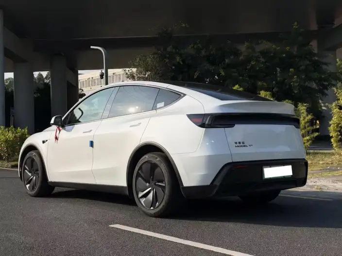 Model Y 2026 Model Long Battery Life Pro Rear-wheel drive version – фото 5