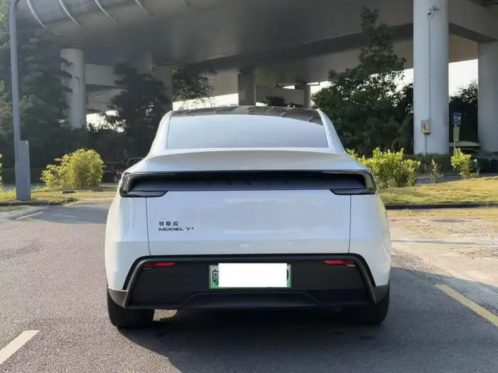 Model Y 2026 Model Long Battery Life Pro Rear-wheel drive version – фото 6