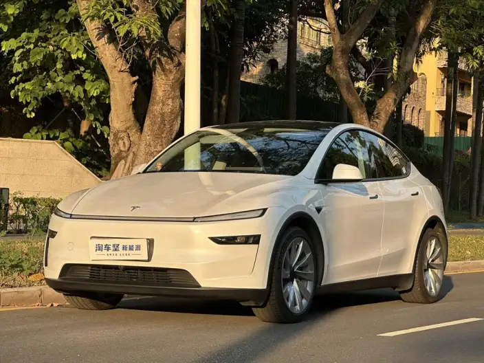 Model Y 2025 Model Rear-wheel drive version – фото 1