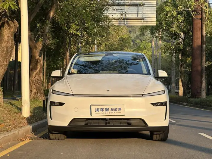 Model Y 2025 Model Rear-wheel drive version – фото 2