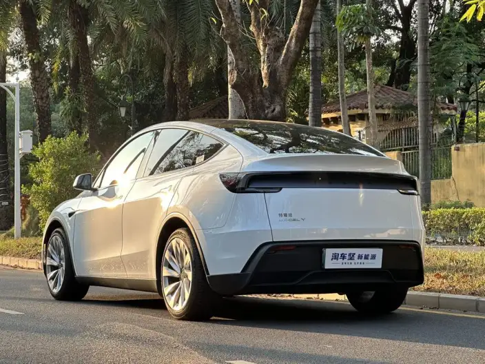 Model Y 2025 Model Rear-wheel drive version – фото 4