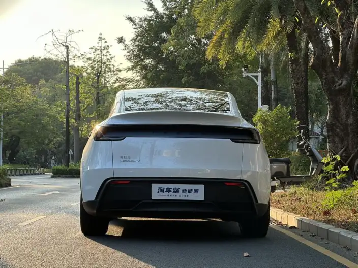 Model Y 2025 Model Rear-wheel drive version – фото 5