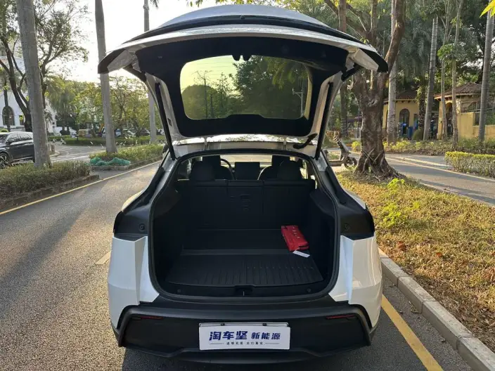 Model Y 2025 Model Rear-wheel drive version – фото 6