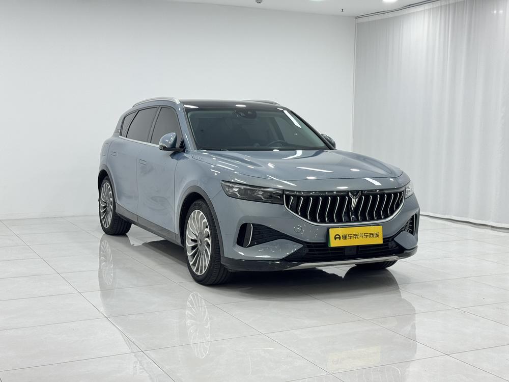 VOYAH FREE 2021 AWD Standard Extended-Range Exclusive Luxury Pack – фото 3