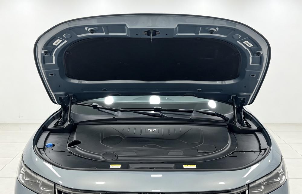 VOYAH FREE 2021 AWD Standard Extended-Range Exclusive Luxury Pack – фото 10