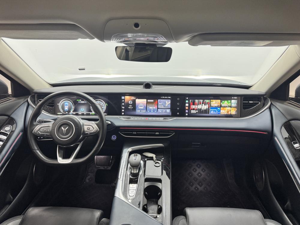 VOYAH FREE 2021 AWD Standard Extended-Range Exclusive Luxury Pack – фото 14
