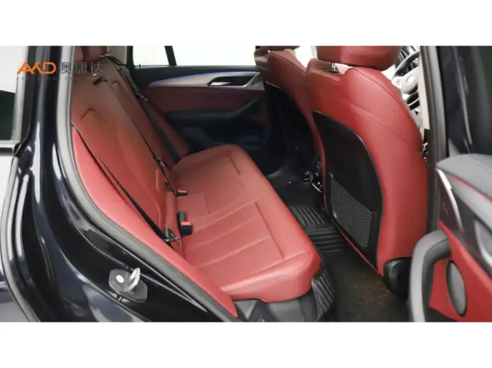 BMW X4 2022 Model xDrive 25i M Sports Set – фото 10