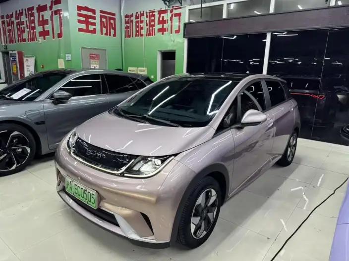 BYD Dolphin 2024 Model Honor Edition 420km Fashion Edition – фото 1