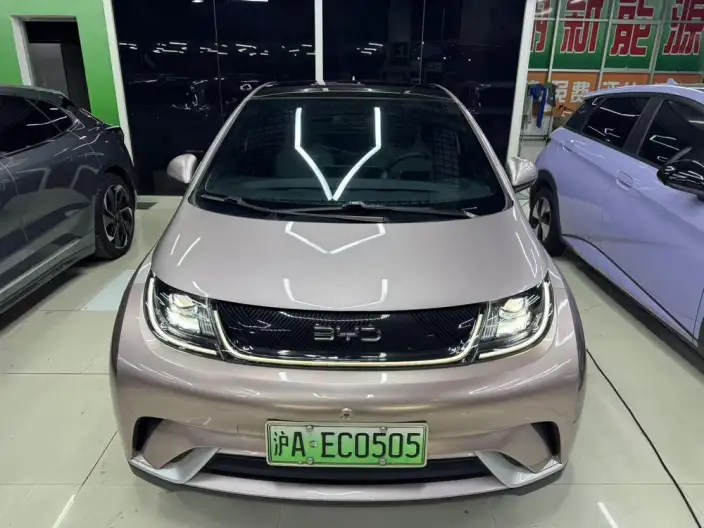 BYD Dolphin 2024 Model Honor Edition 420km Fashion Edition – фото 2
