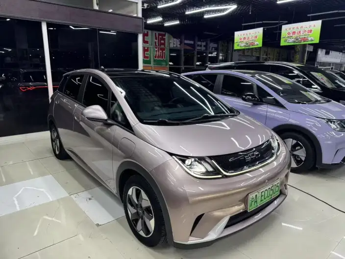 BYD Dolphin 2024 Model Honor Edition 420km Fashion Edition – фото 3