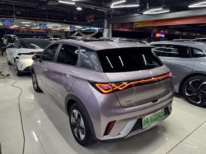 BYD Dolphin 2024 Model Honor Edition 420km Fashion Edition – фото 4