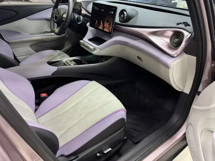 BYD Dolphin 2024 Model Honor Edition 420km Fashion Edition – фото 8