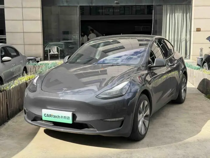 Model Y 2022 Model Long Battery Life Pro All-wheel drive version – фото 1