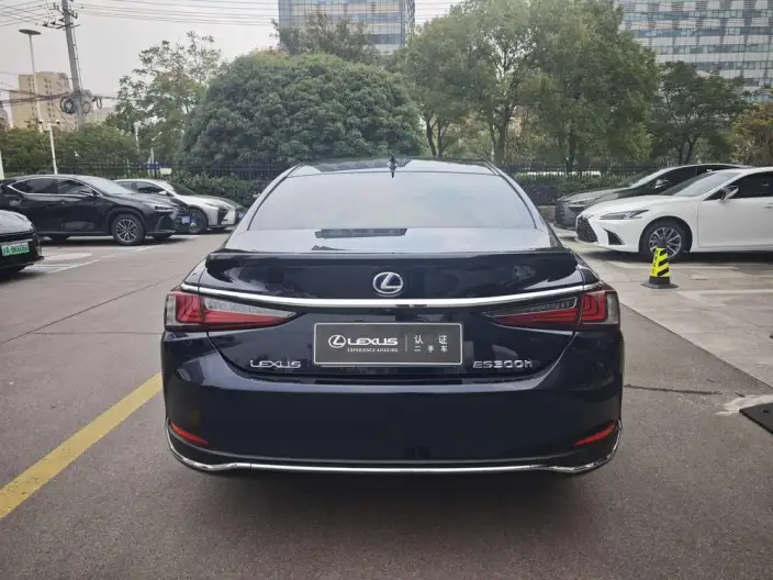Lexus ES 2021 Model 300h Superior Edition – фото 6