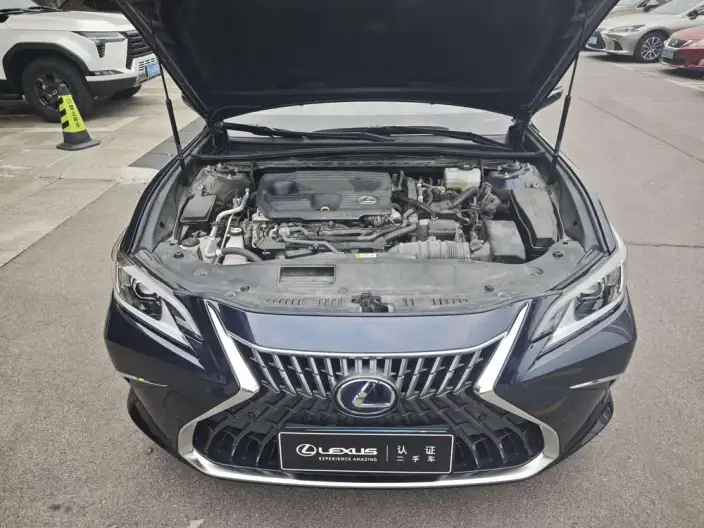 Lexus ES 2021 Model 300h Superior Edition – фото 8