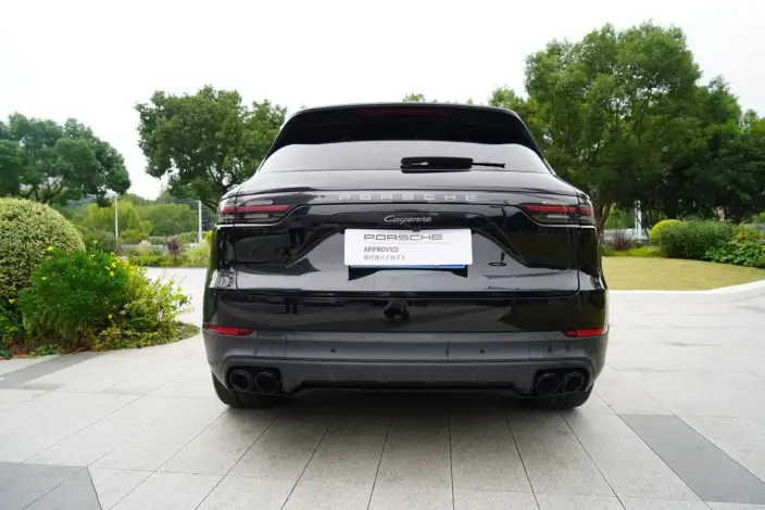 Cayenne 2023 Model Cayenne 3.0T Platinum edition – фото 6