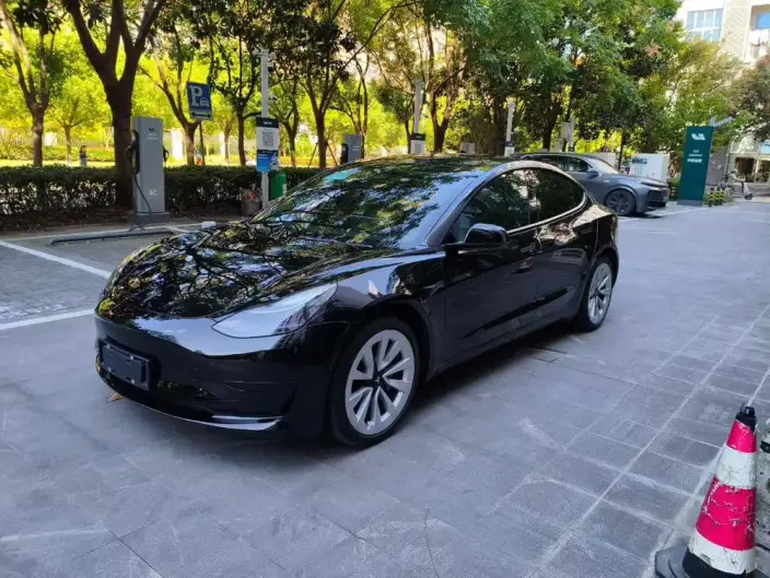 Model 3 2022 Model Rear-wheel drive version – фото 1