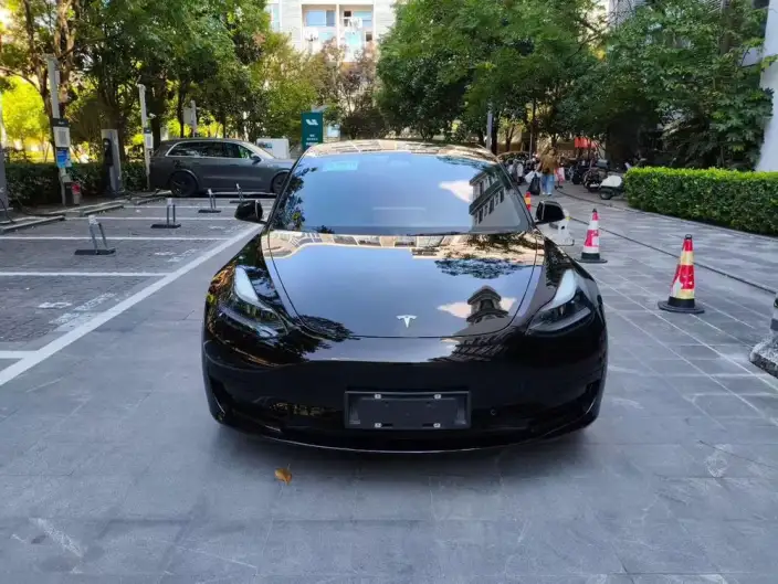 Model 3 2022 Model Rear-wheel drive version – фото 2