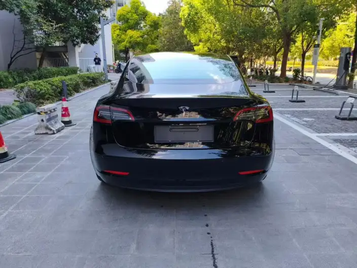 Model 3 2022 Model Rear-wheel drive version – фото 5
