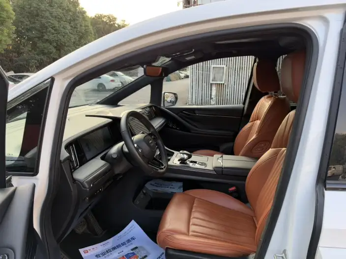 GAC Trumpchi E9 PHEV 2024 Model 2.0TM New Year Edition Edition – фото 8