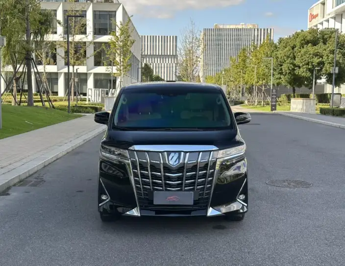 Elfa 2021 Model Hybrid 2.5L Premium Edition – фото 2