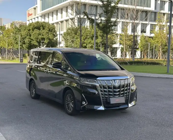 Elfa 2021 Model Hybrid 2.5L Premium Edition – фото 3